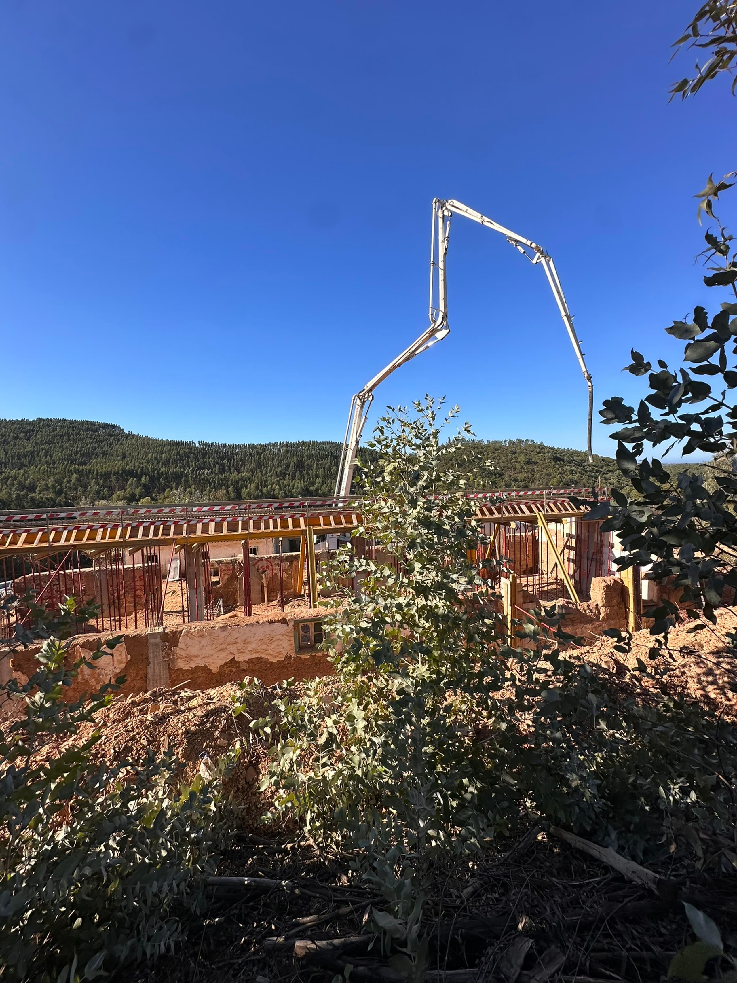 Carrascalinho — in progress photo 3